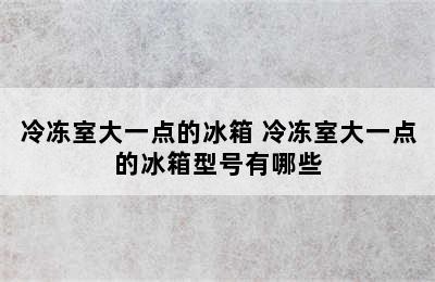 冷冻室大一点的冰箱 冷冻室大一点的冰箱型号有哪些